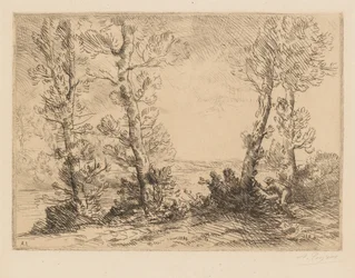 The Salmon Fisherman, c1880
