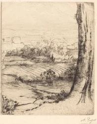 View of Reeds