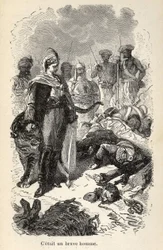 Illustration of the 
