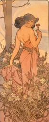 The Carnation
