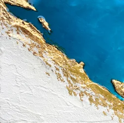 Golden Coastal Relief Map