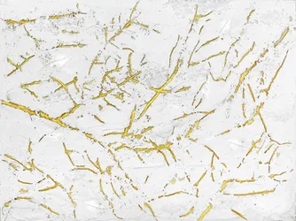 Golden Organic Texture