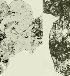 Textured Organic Forms