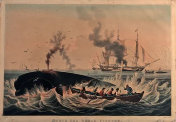 South Sea whale fishery