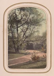 Carte-de-visite Album of Central Park Views