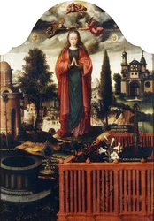The Immaculate Conception