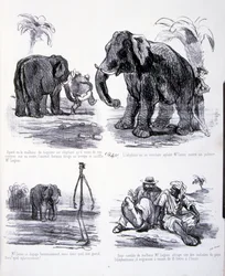 Illustration for The Art of Fattening and Losing Weight