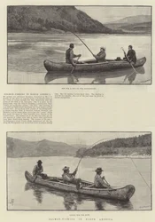 Salmon-Fishing in North America