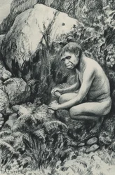 The ancient tenant of the Old Plateau, perhaps ten thousand centuries ago