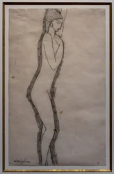 Hermaphrodite in Profile