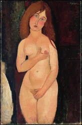 Venus or Standing Nude or Nude Medici