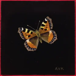 Small tortoiseshell butterfly, 1998