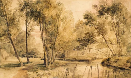 Study of Trees