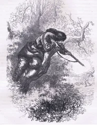American marksman up a tree, illustration from Cassells History of the United States