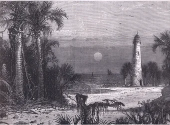 View of the coast of Florida, illustration from Cassells History of the United States published by Cassell, Petter & Galpin, c.1900