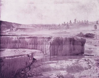 Little Jupiter Terrace
