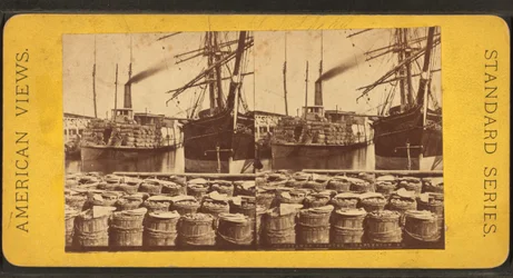 Stereoscopic View of the Steamer 