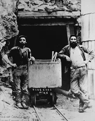 The Last Chance Mine, California