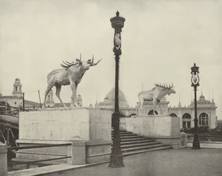The Moose Bridge