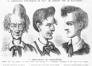 A Phenomenon of Portraiture, c.1860