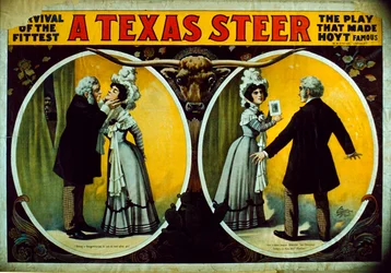 A Texas Steer