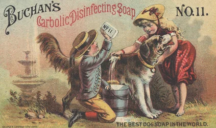Advertisement for Buchan