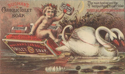 Advertisement for Buchan