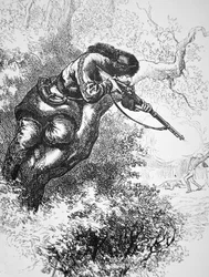 American Marksman up a Tree, during the American Revolutionary War