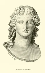 Bacchus, Rome
