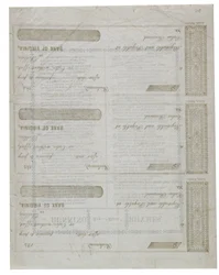 Dixie Printed on Back of a Sheet Checks, 1861