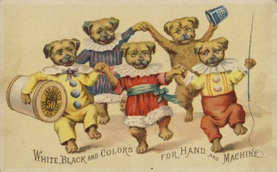 Dog Dancing in Clothes