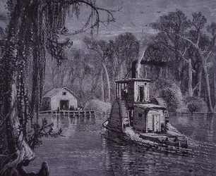 Florida Everglades Scene