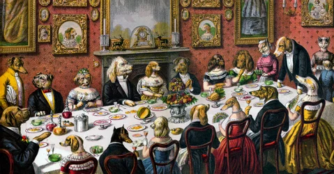 Formal Dinner Party for Dogs
