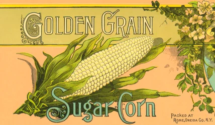 Golden Grain Sugar Corn Product Label, c.1890