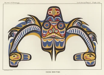 Haida Dog-Fish