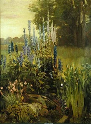 Hollyhocks