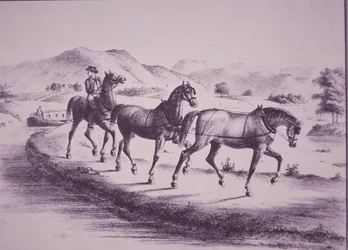Horses Pulling a Canal Boat on Erie Canal