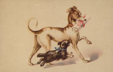 Large and Small Dog Running