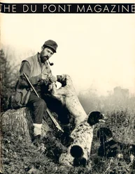 Man with Hunting Dogs
