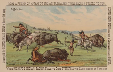 Native American Hunting Buffalo