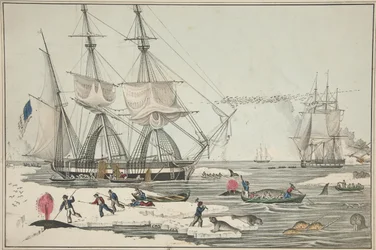 North Sea Whale Fishery, pub. 1860