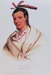 Portrait of A-Mis-Quam, a Winnebago brave