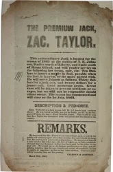 Proceedings and Address of the Constitutional Convention, c.19th March 1861