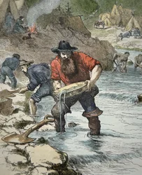 Prospectors panning for gold during the Californian Gold Rush of 1849