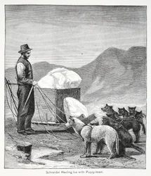 Schneider Hauling Ice with the Puppy-Team, London 1886