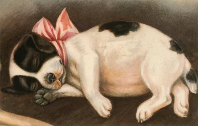 Sleeping Pointer Puppy Wearing a Pink Bow