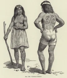 Tattooed Haidas