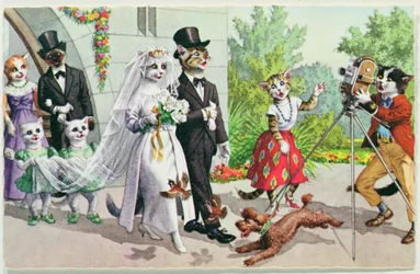 The Wedding