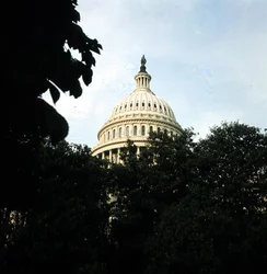 The dome of The Capitol
