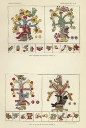Vatican Codex